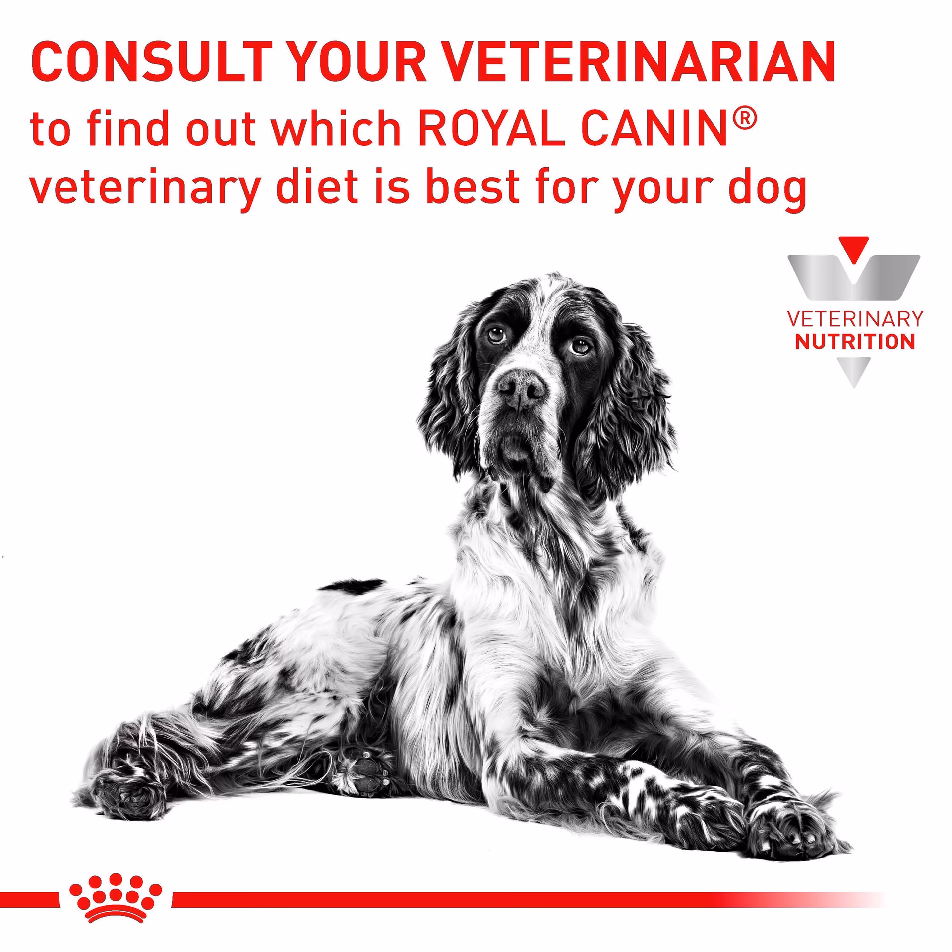 Why was Royal Canin veterinary diet recalled?