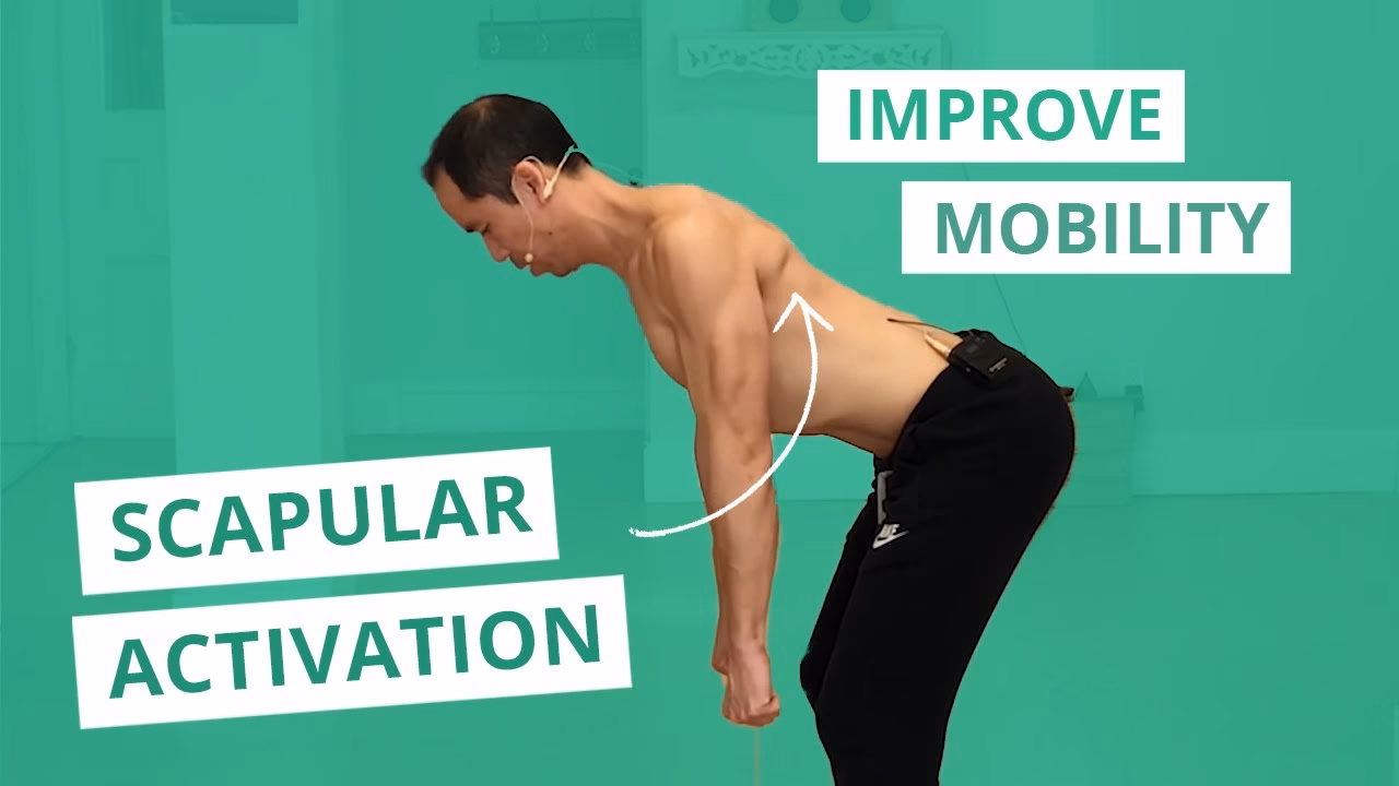 What is scapula mobility?
