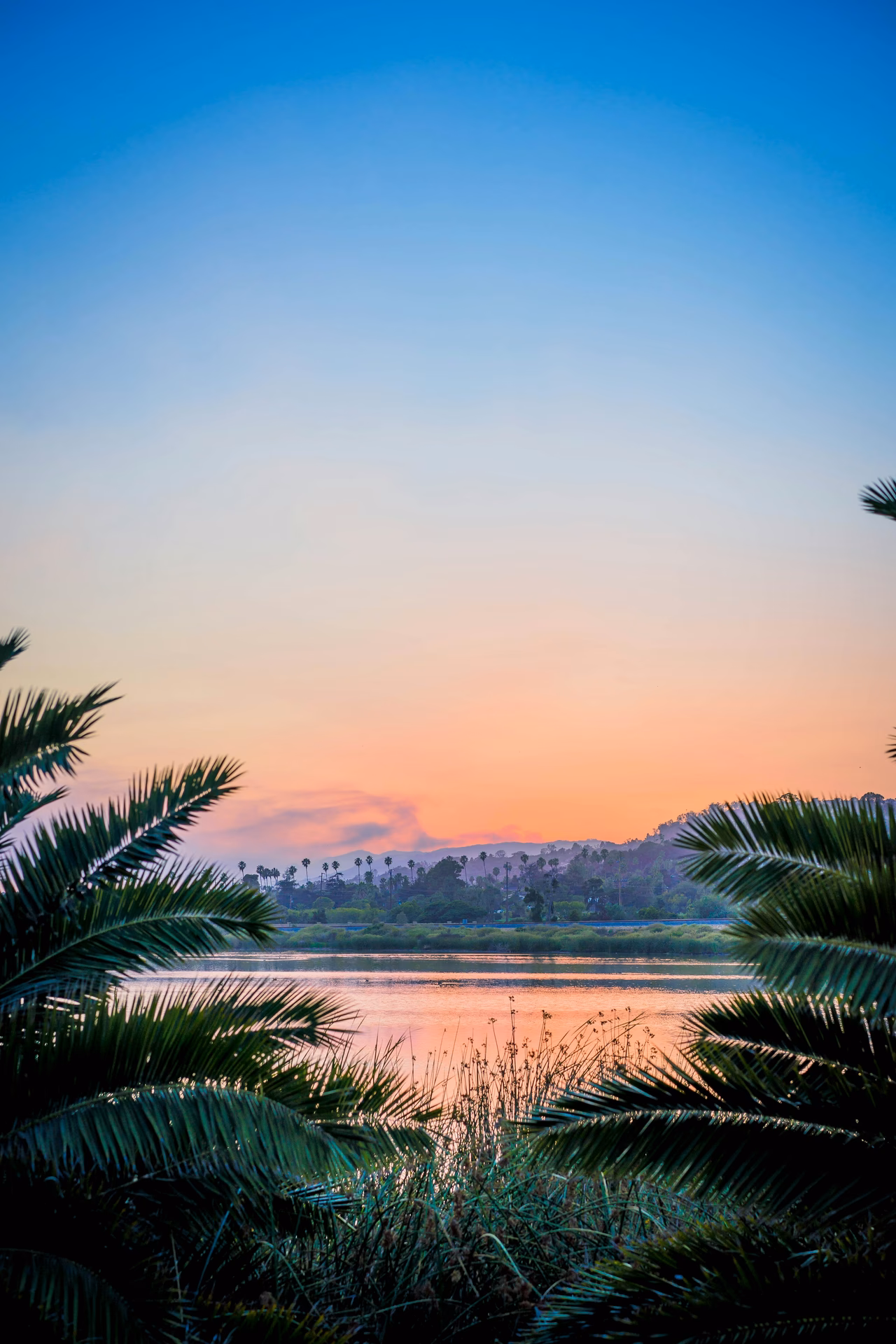 Where can I find free HD scenery wallpapers?