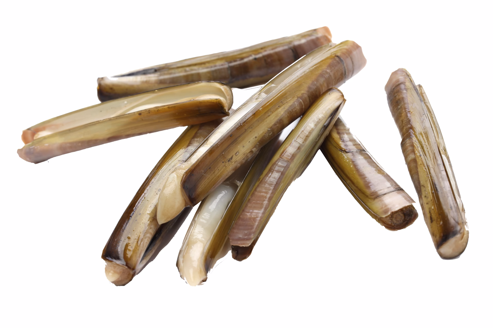 Wie viele Kalorien hat eine Schwertmuschel?