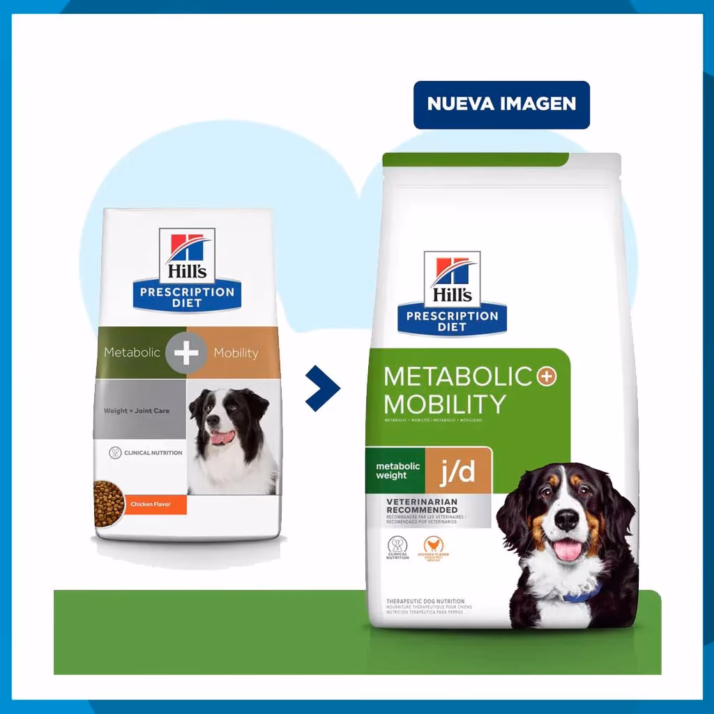 What is the best dog food for weight loss?