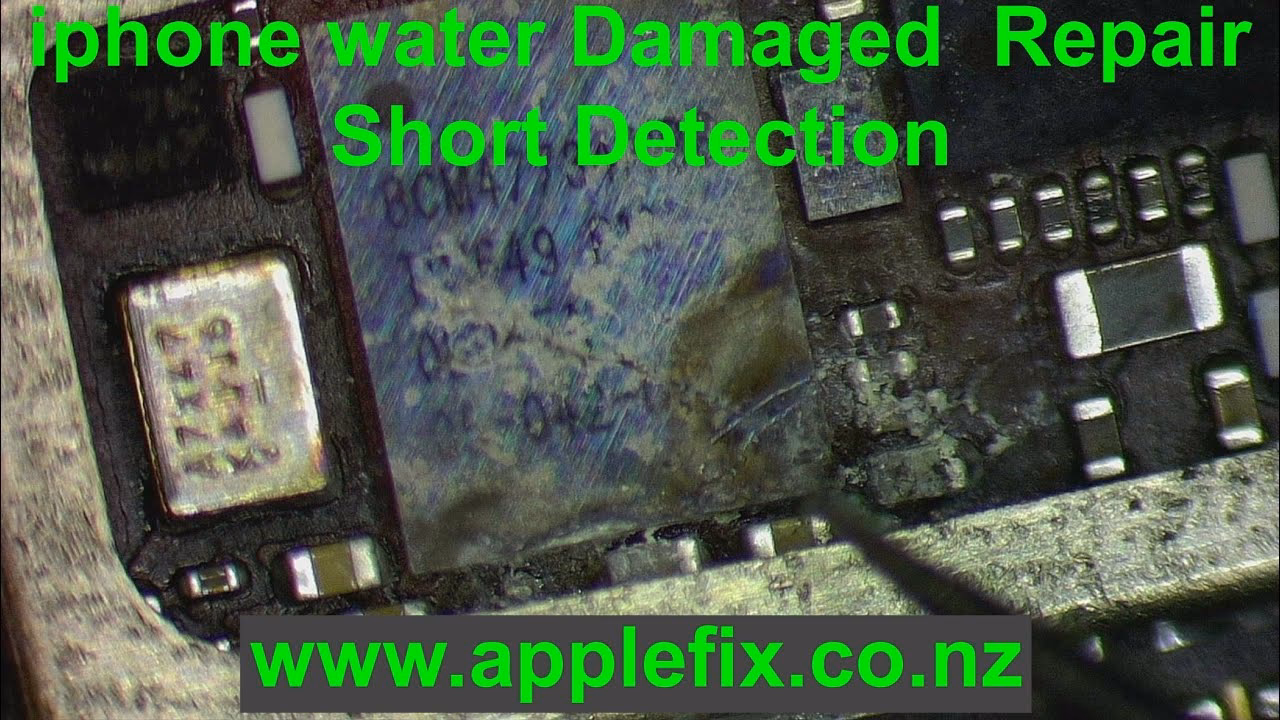 Can you repair a water-damaged iPhone?