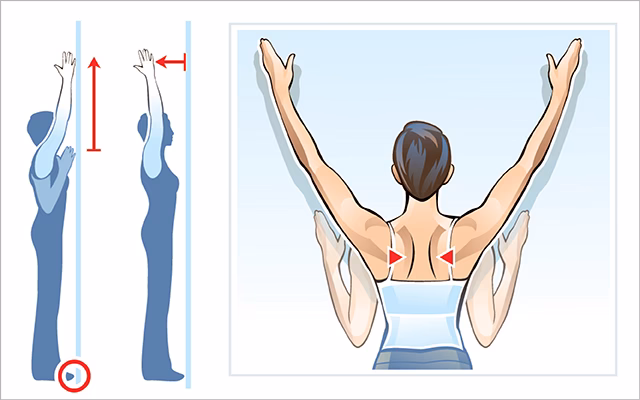 Can shoulder stability exercises improve shoulder strength?
