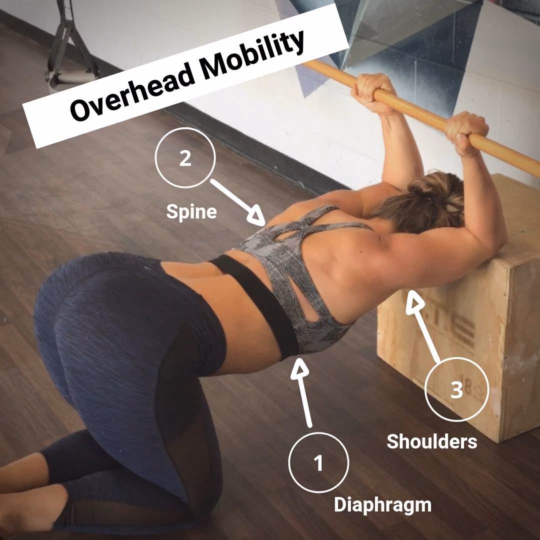 What is shoulder mobility?