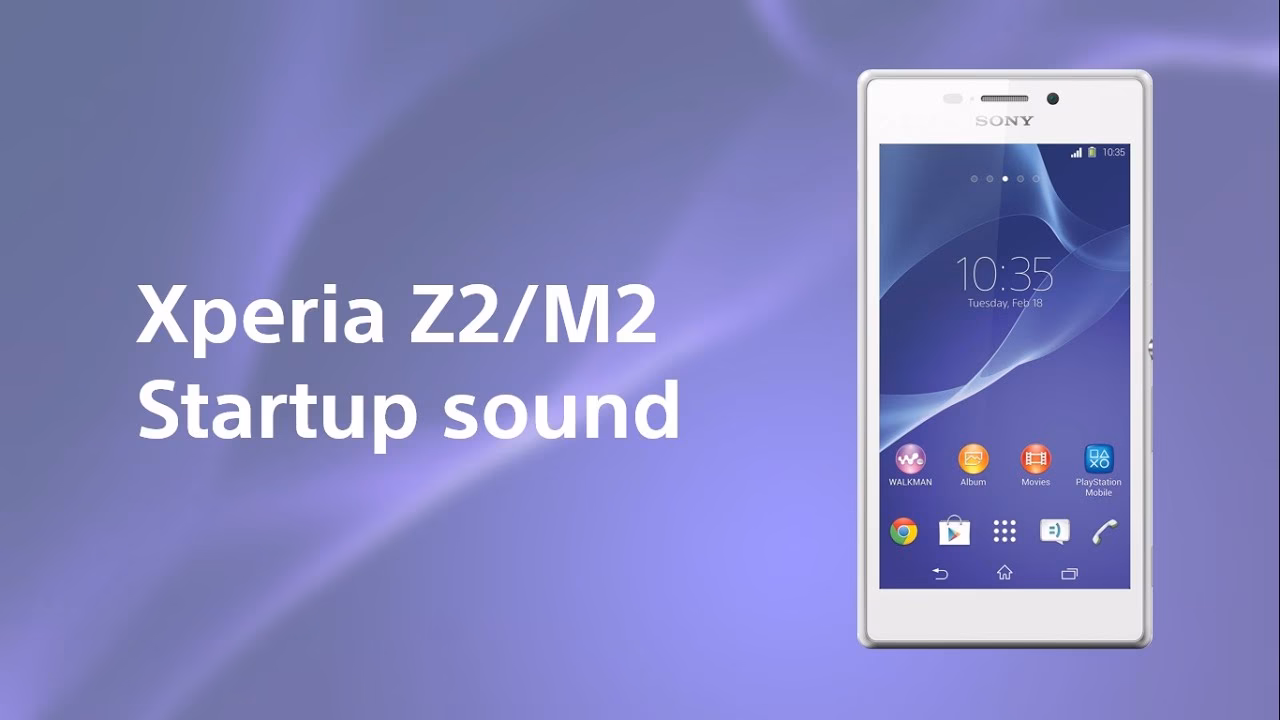 What is a Sony idea owner program?