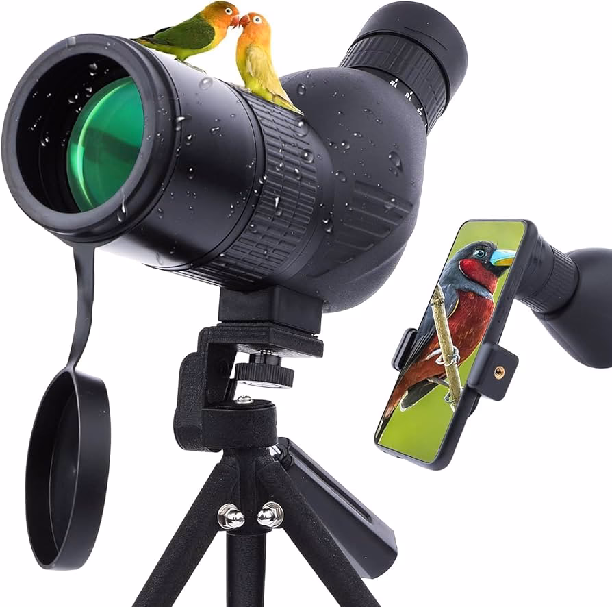 Welche Arten von Spektiven gibt es?