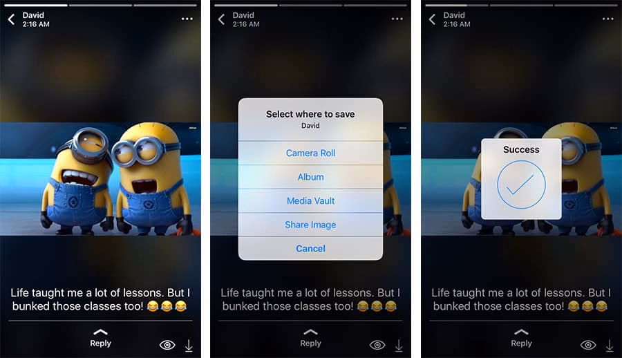 How to save WhatsApp Status on iPhone?