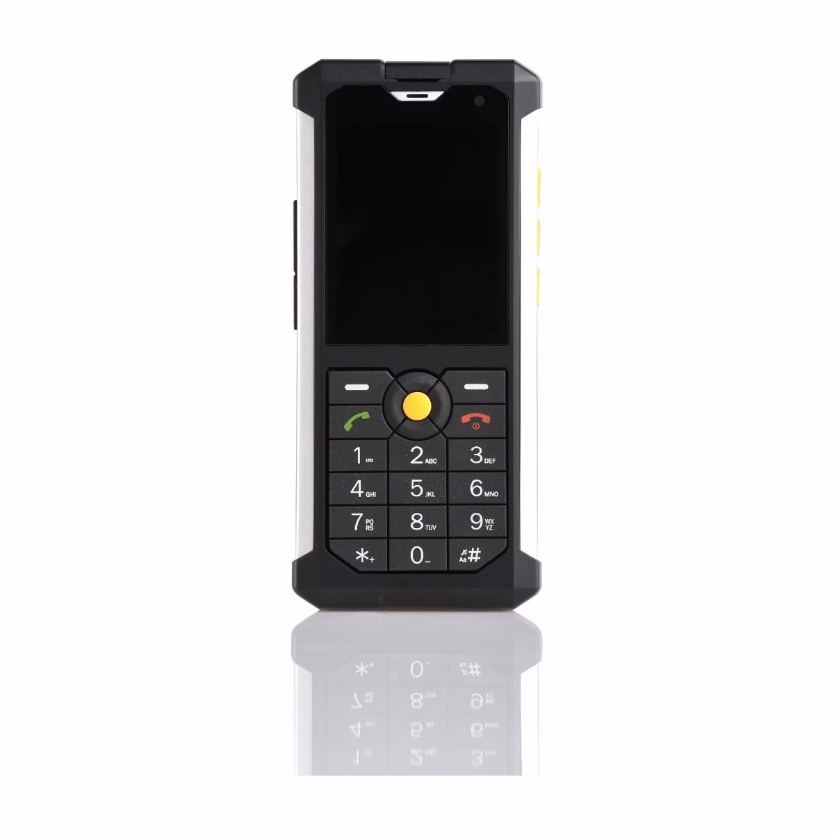 What year was cat B100 released?