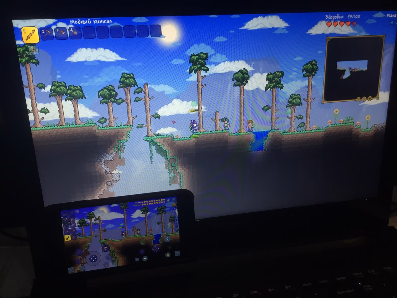 Where can I download Terraria?