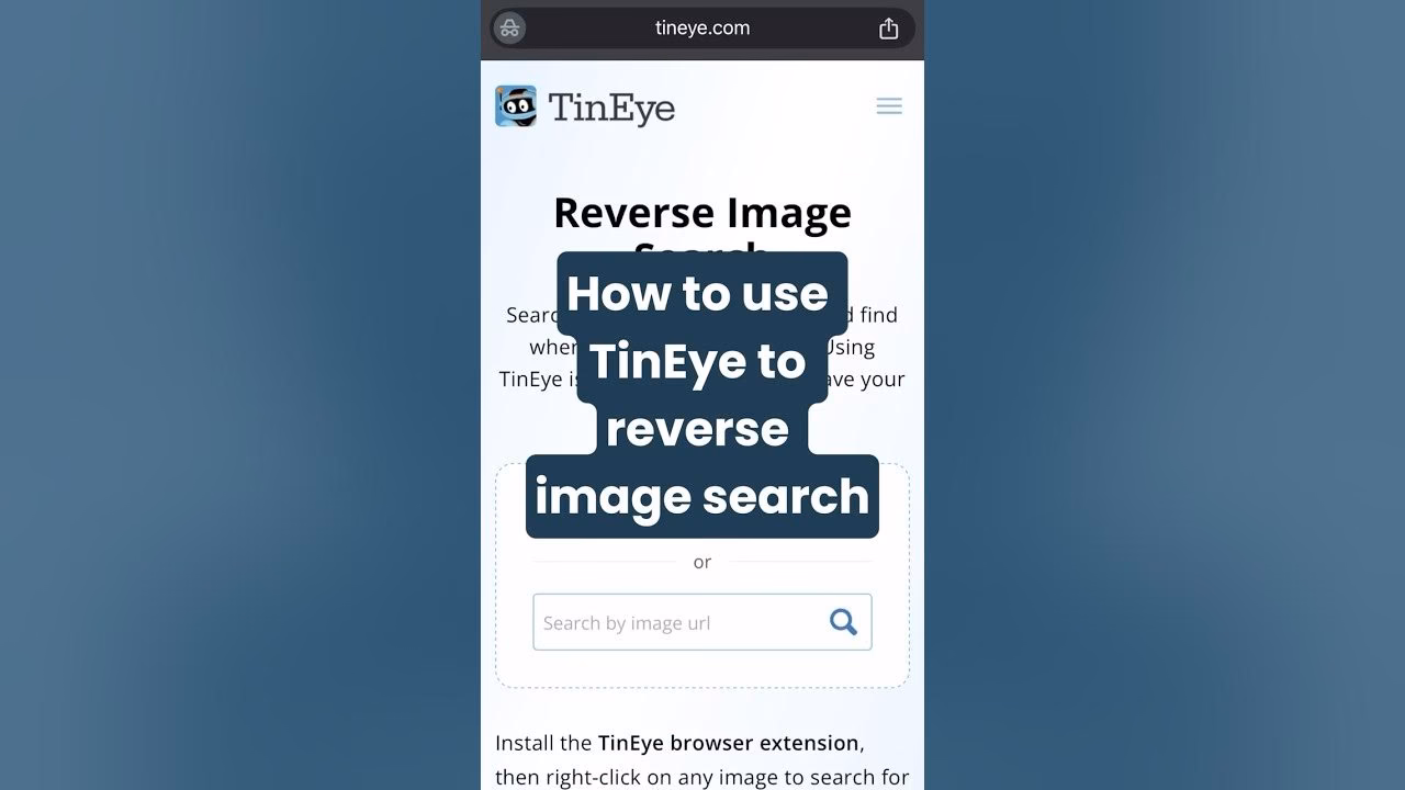 How to reverse image search on TinEye?
