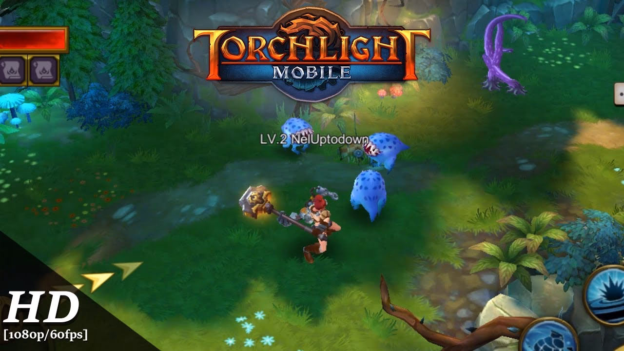 Is Torchlight a loot based ARPG?