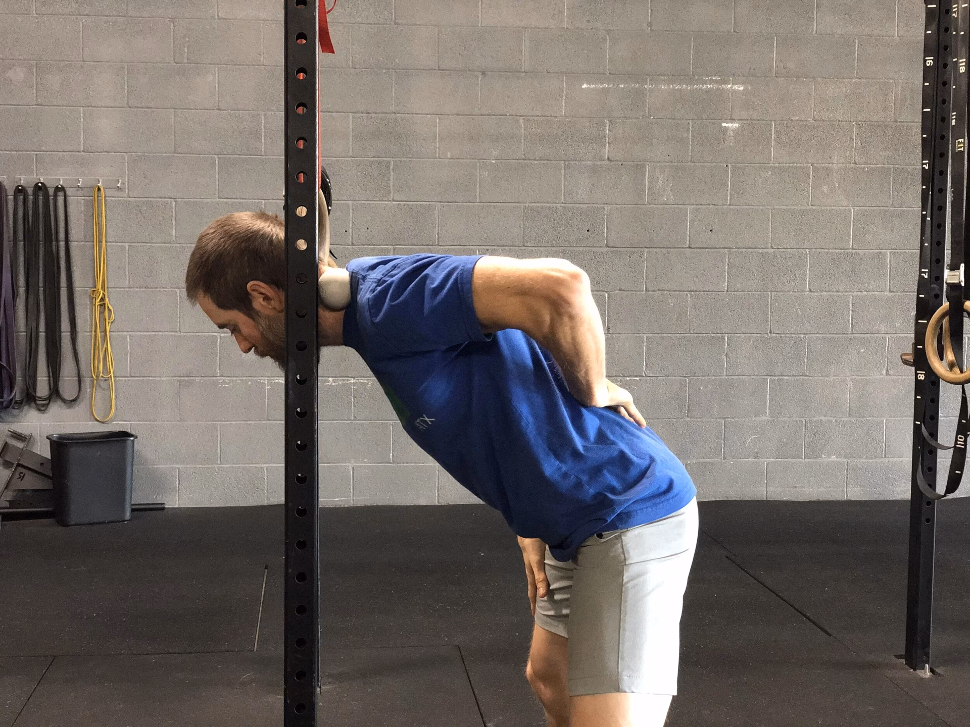 Why are trap muscles important?