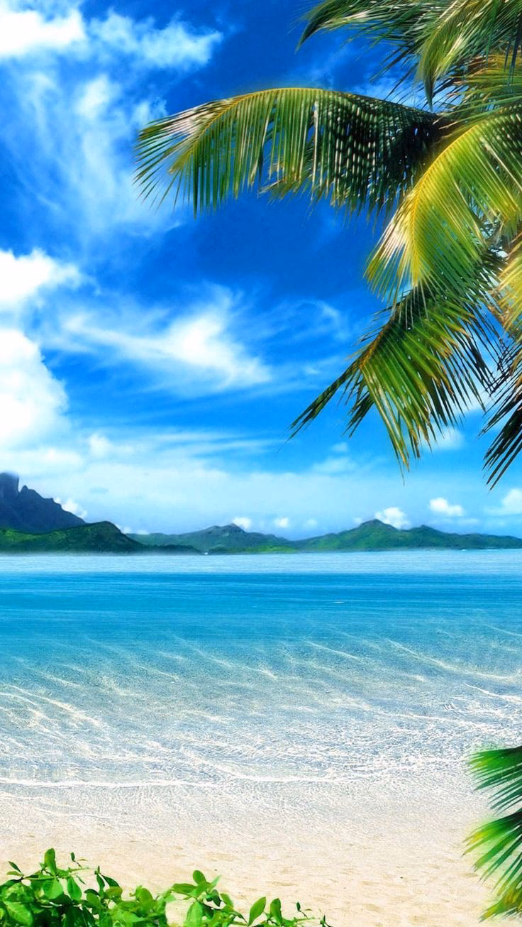 How many tropical beach HD wallpapers are there?