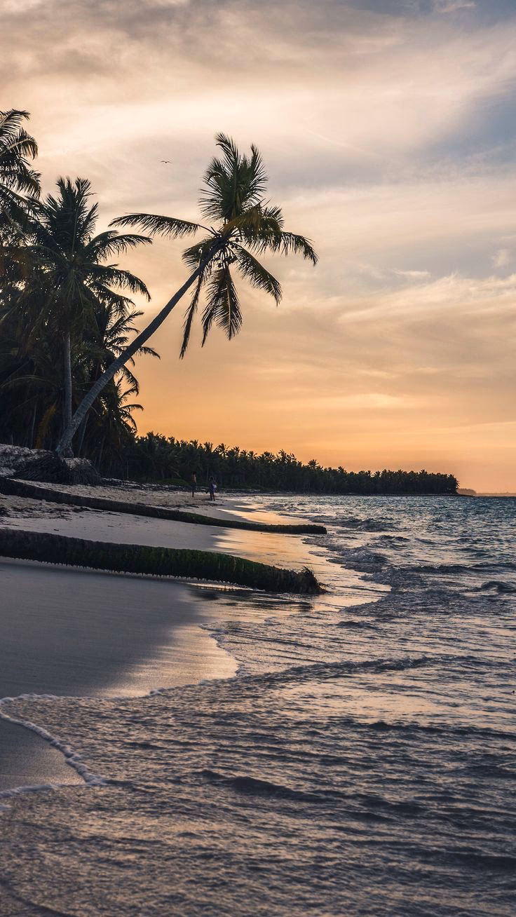 How many images are there in the tropical beach wallpaper collection?