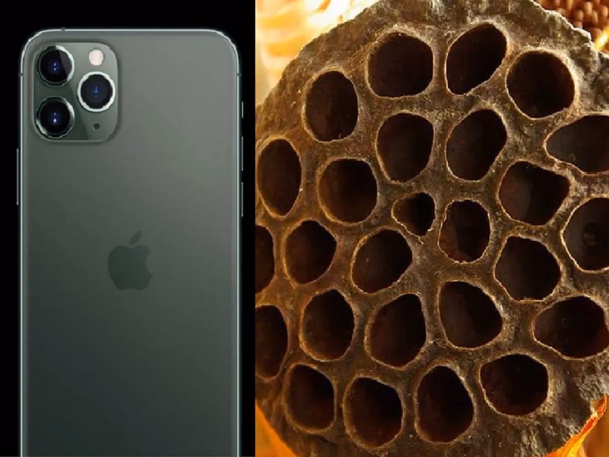 Is trypophobia an innate fear?