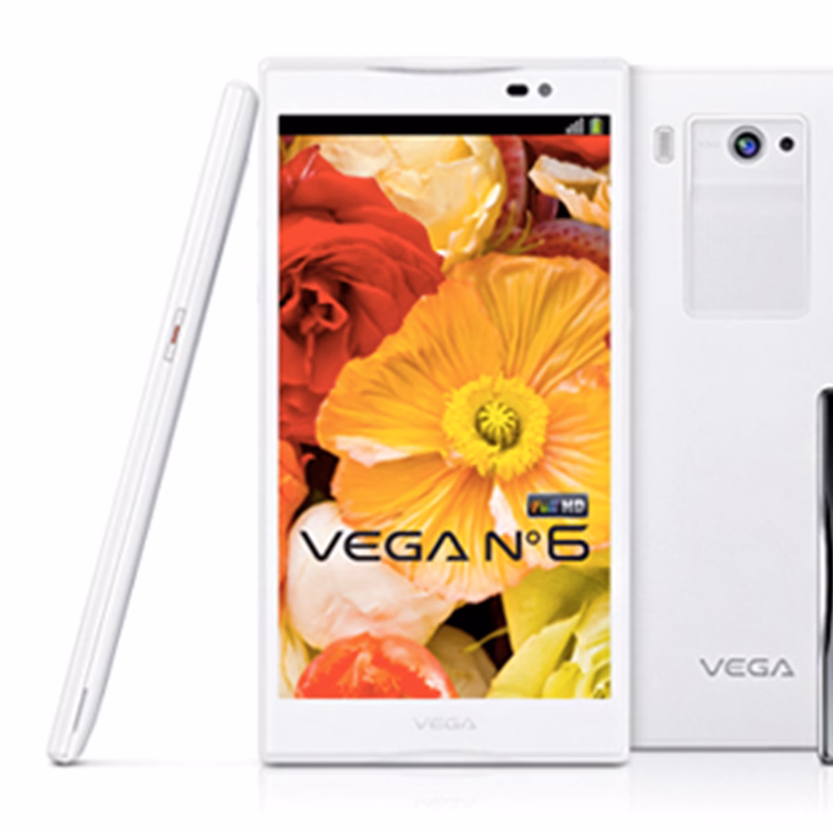 What is Vega Technologies?