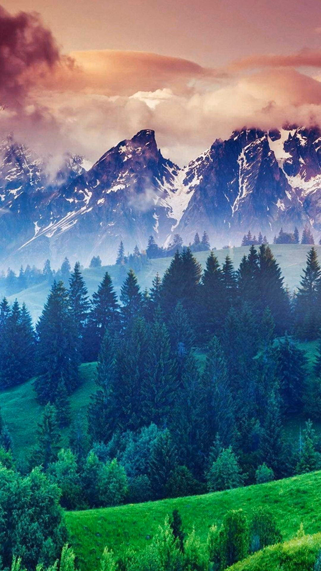 What does a landscape look like on Android?