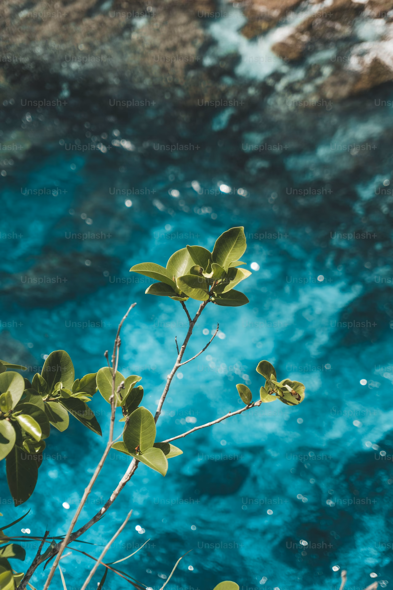 Is there an app for custom HD wallpapers for Android?