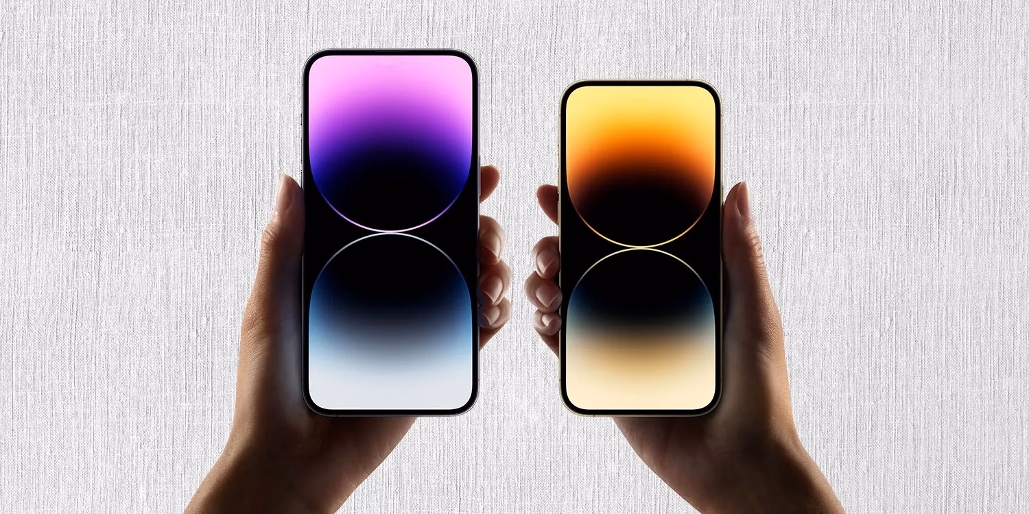 Which iPhone is the largest?