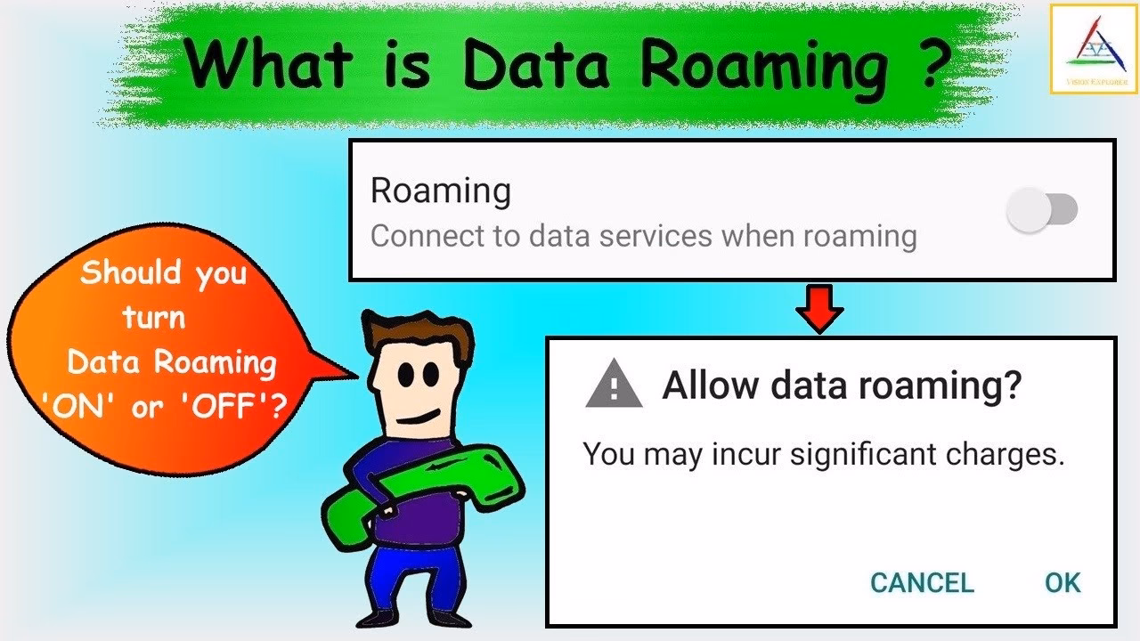 What is domestic data roaming?