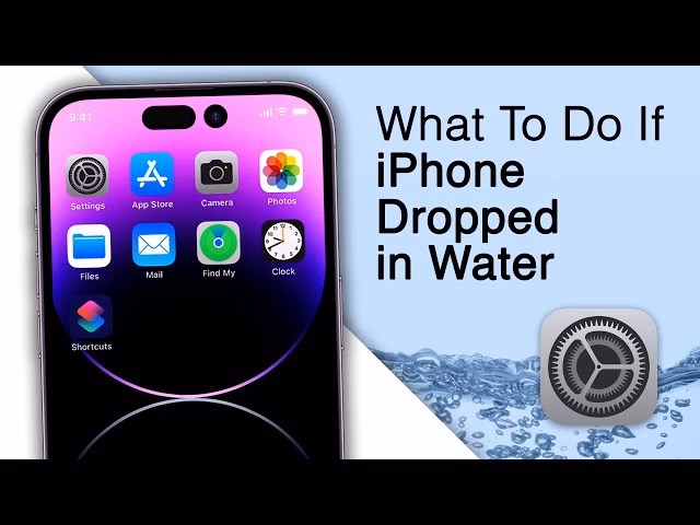 What should I do if I Drop my iPhone in water?