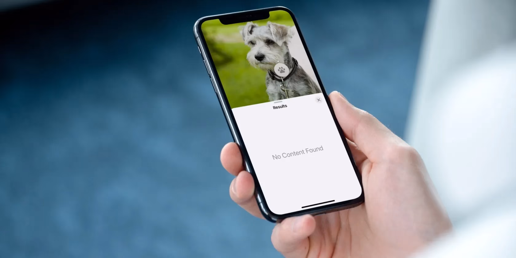 Why are there no pictures on my iPhone Windows 10?