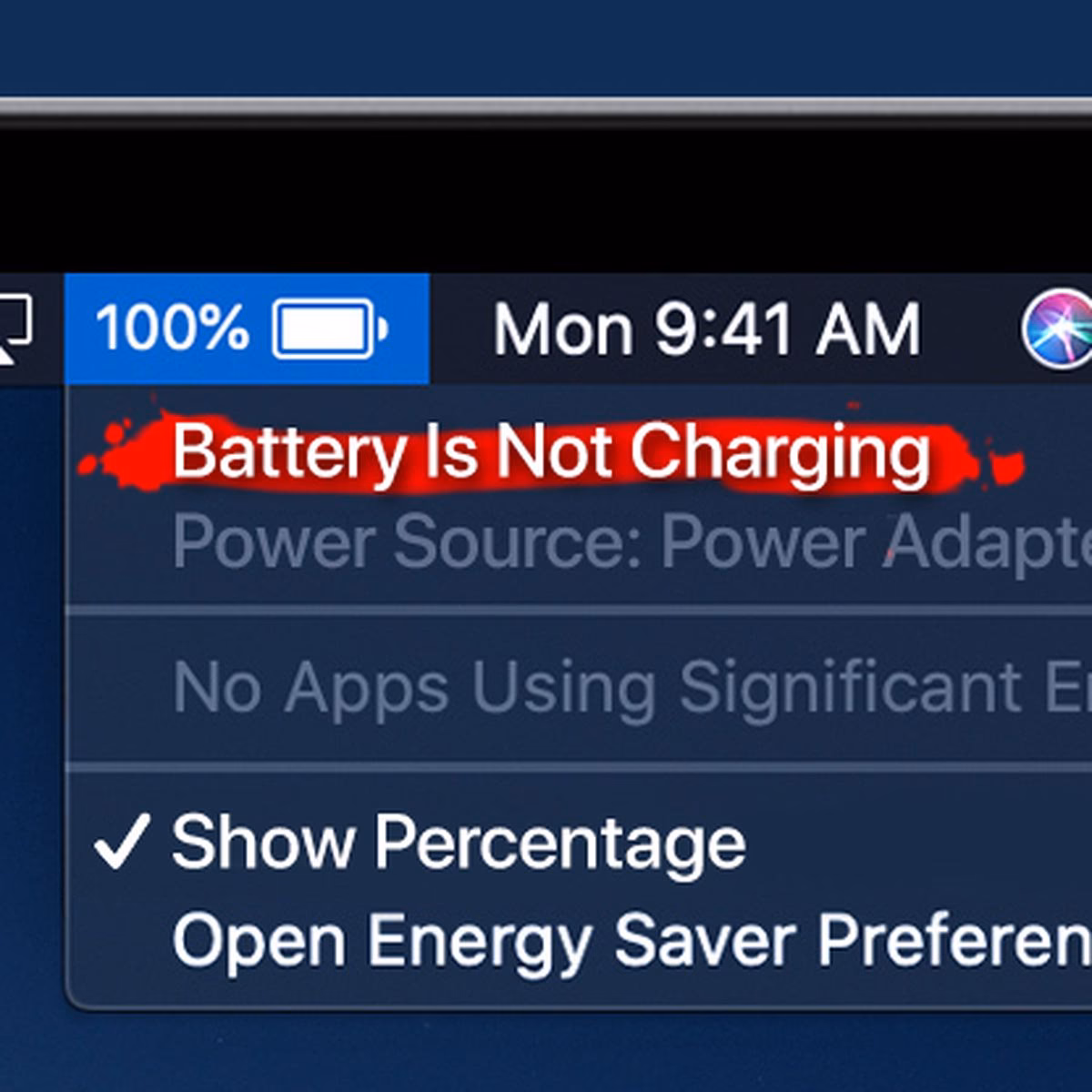 What should I do if my iPhone won't charge?