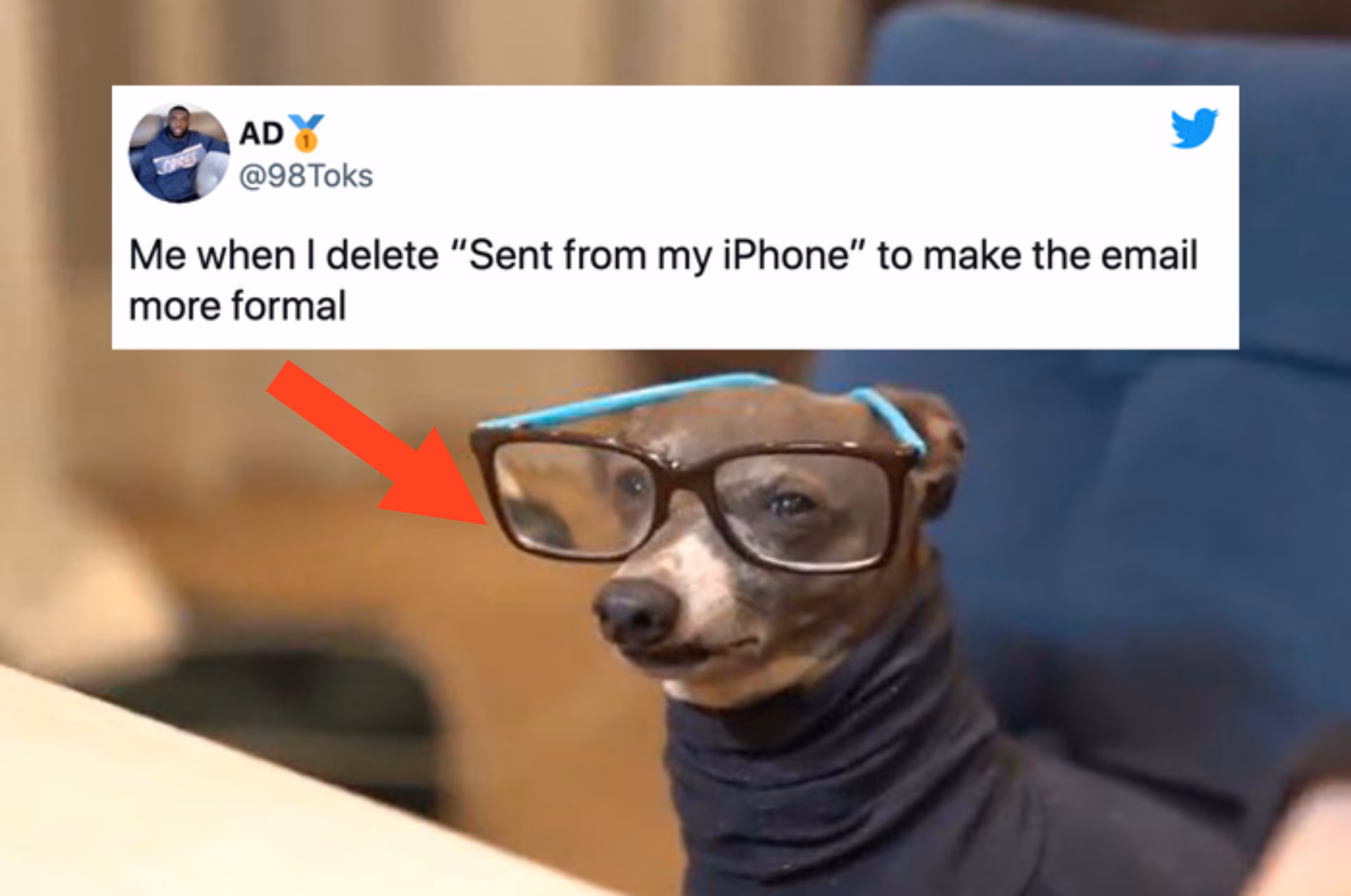Why do people buy iPhones?