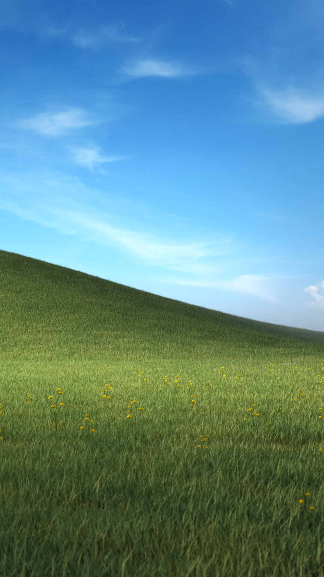How many Windows XP Bliss wallpapers are there?