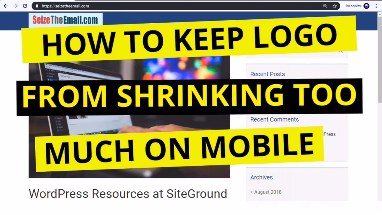 How to change the size of a logo in WordPress?