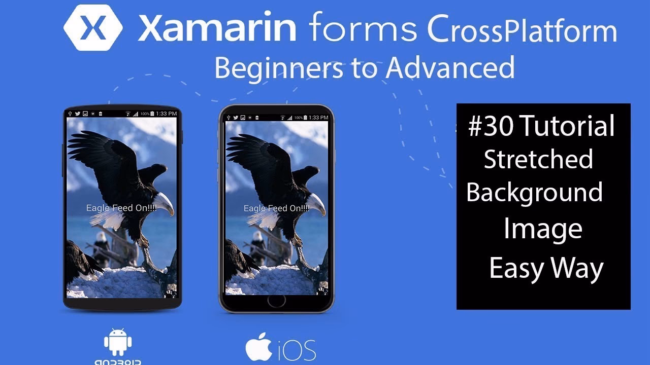 How to create a background in Xamarin?